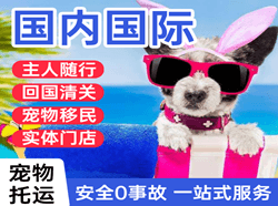 昆明机场托运国际宠物托运 【国